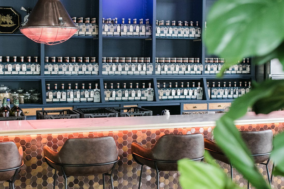 the bar with shelves lined with bottles